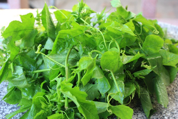 Hạt giống lạc tiên (dây lạc tiên, chùm bao) - Ảnh 4