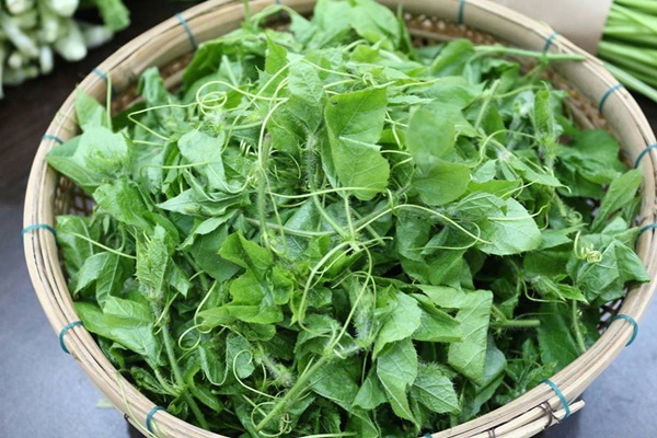 Hạt giống lạc tiên (dây lạc tiên, chùm bao) - Ảnh 6